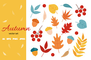 Autumn collection. Fall Leaves PNG