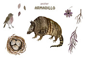 Armadillo watercolor set, an Animal Illustration by Bychovsky design (Thumbnail 3 of 4)