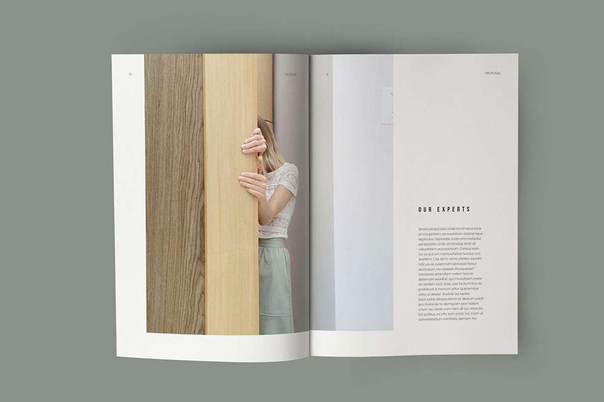 Business Proposal Template, a Brochure Template by HR Studio (Photo 6 of 14)
