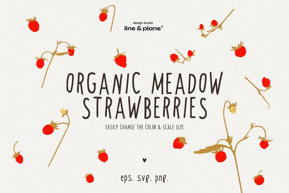 Organic Meadow Strawberries, an Object Graphic by line & plane (Photo 1 of 7)