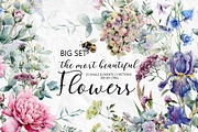 Set of watercolor flowers, a Decorative Illustration by RushkinaAntonina (Thumbnail 1 of 11)