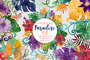 Tropical Watercolor Graphics Bundle, an Illustration by ClipartBrat Graphics (Thumbnail 1 of 5)