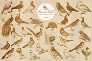 Vintage Farm Animal Vector Graphics, an Object Graphic by Eclectic Anthology (Thumbnail 6 of 9)