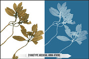 Authentic Cyanotype LUTs, a Plug-in Add-On by Raztrend (Thumbnail 4 of 32)