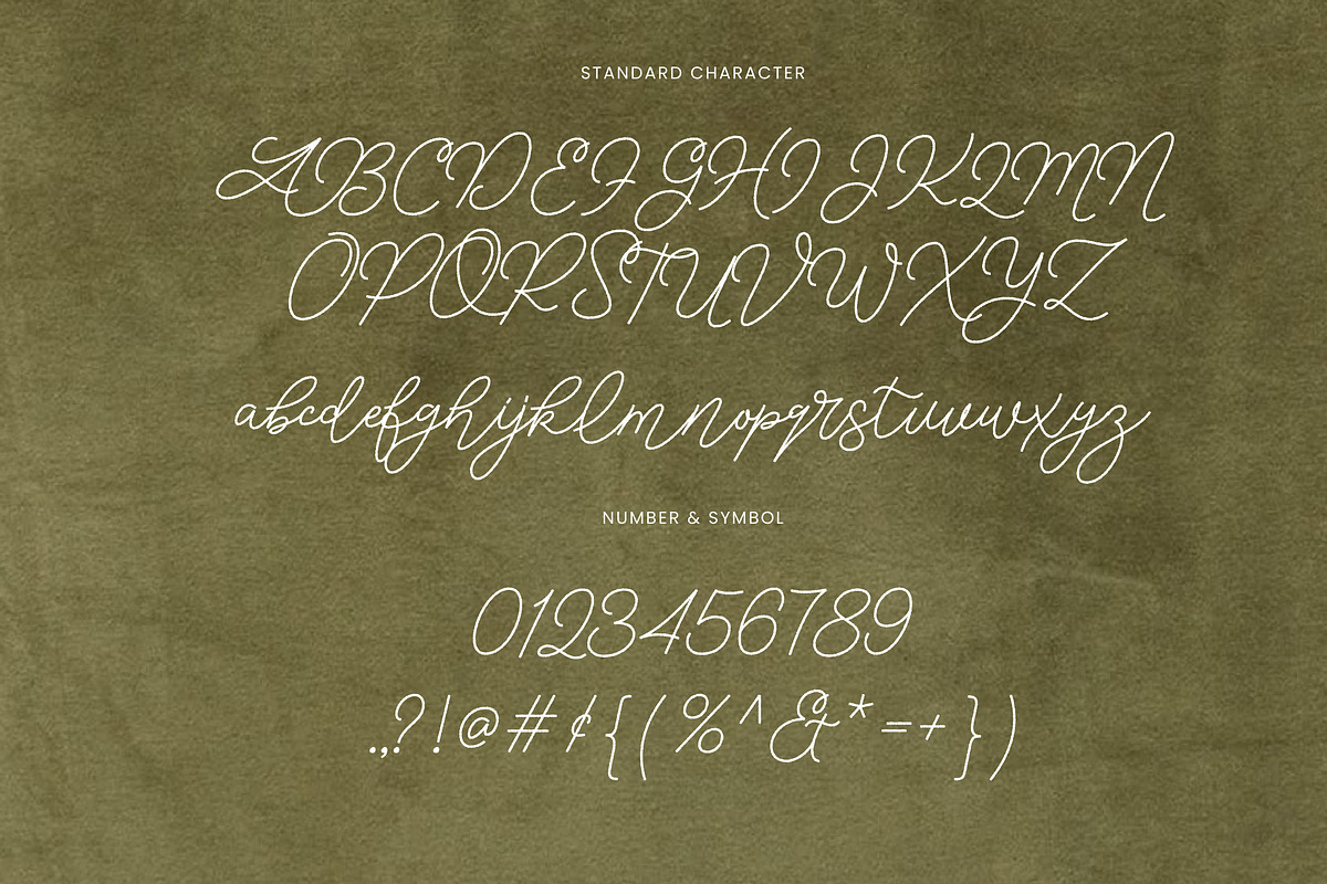 The Separated | Romantic Script Font, a Script Font by Imoodev (Photo 4 of 7)