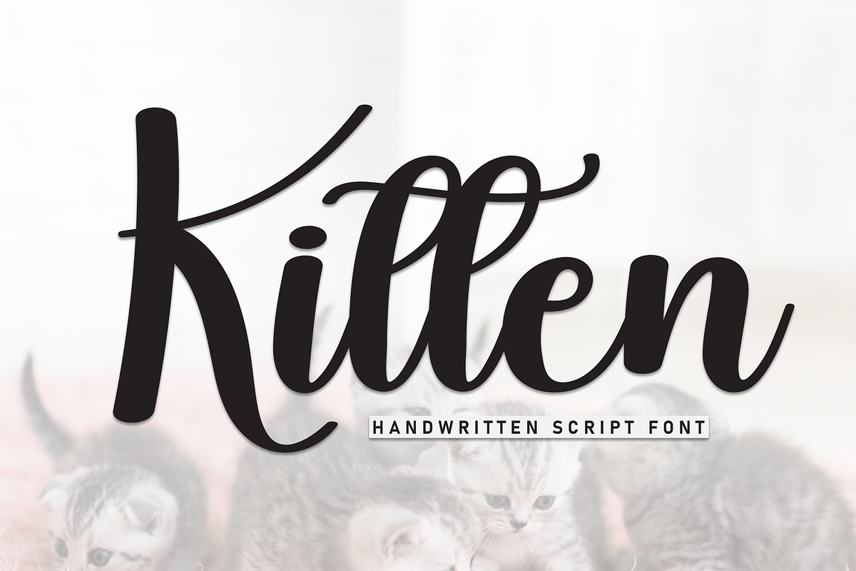 Kitten | Script Font, a Handwritten Font by Scratchones (Photo 1 of 8)