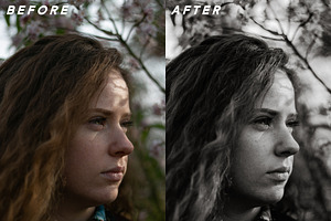 GREYSCALE Lightroom Preset