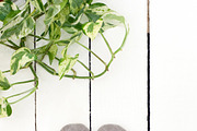 Styled Stock Bundle: Mompreneurs, a Social Media Template by ET | Stock Photography (Thumbnail 8 of 25)