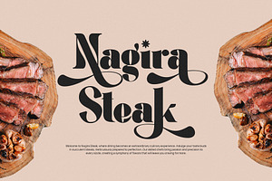 Megina Elegant Ligature Serif Font