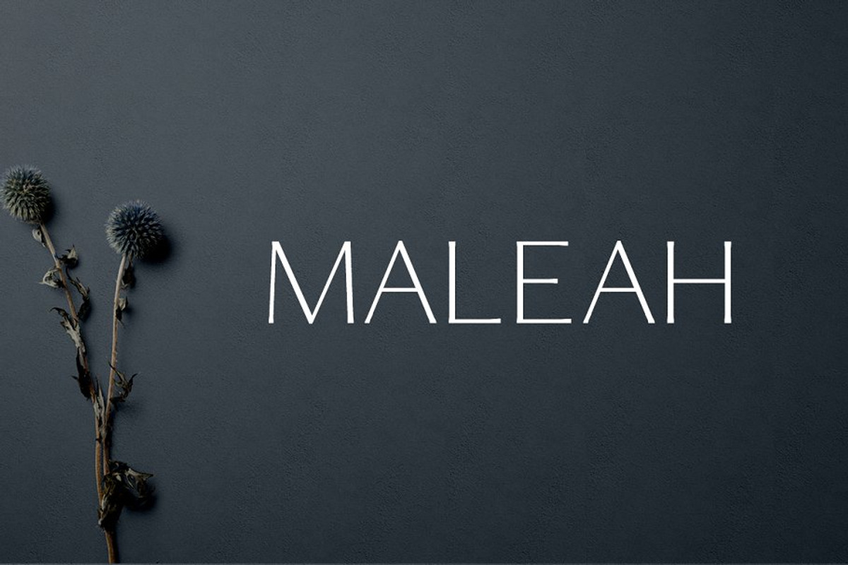 Designer's Type - Sans Serif Bundle!, a Sans Serif Font by Creativetacos (Photo 22 of 36)