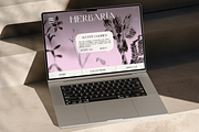 HERBARIA. Pressed Wildflower Scans, an Object Graphic by Schumacher Shop (Thumbnail 16 of 21)