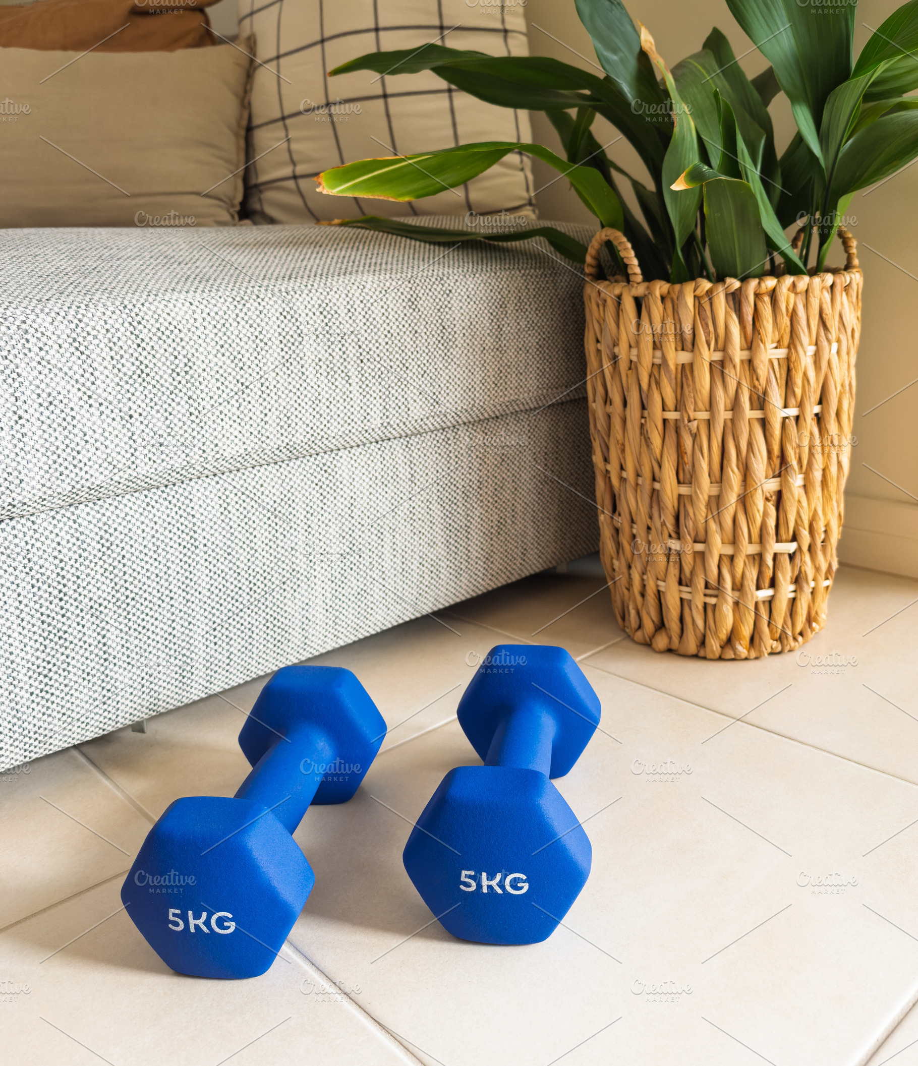 Dumbbells Home Workout Challenge, a Sports & Recreation Photo by THP Creative