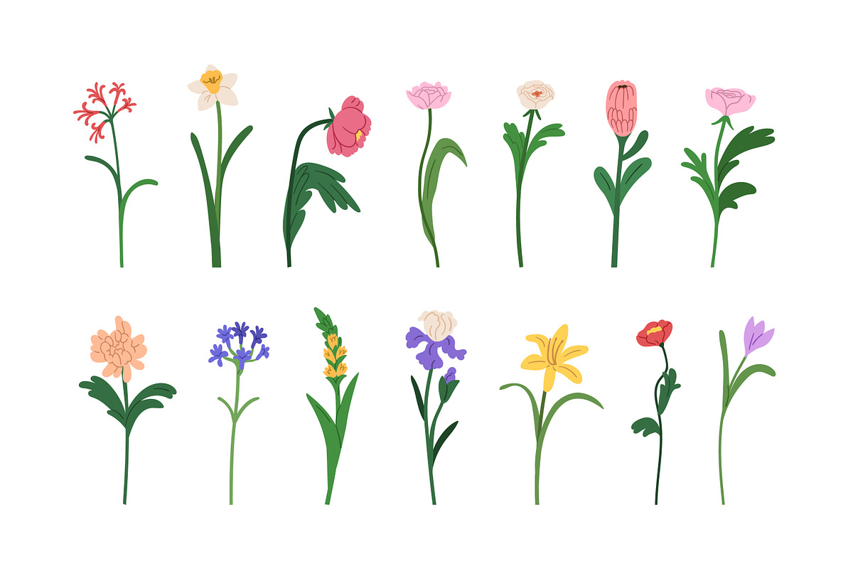 Blossomed flowers, floral plants set, a Decorative Illustration by Good Studio (Photo 3 of 6)