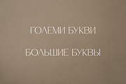 Salve - Elegant Serif + Cyrillic, a Serif Font by VP Fonts (Thumbnail 12 of 20)