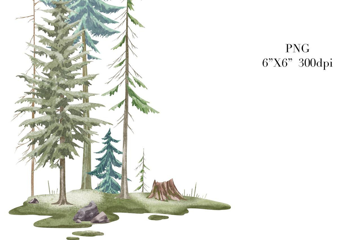 Forest Watercolor Woods Pine Tree, an Illustration by NKTKNS (Photo 6 of 7)