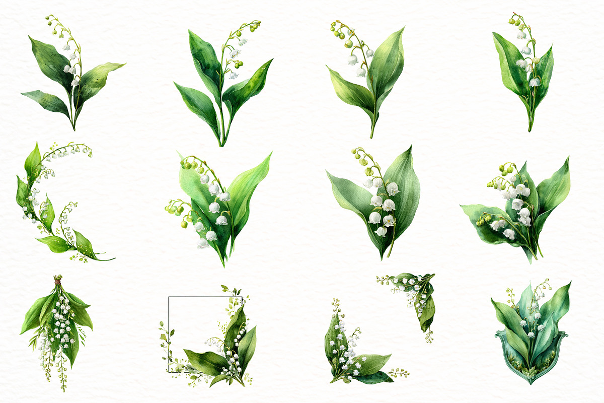 Watercolor Lily clipart, an Illustration by Designworld (Photo 3 of 4)