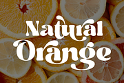 Rottran - Rounded Display Serif Font, a Serif Font by Ekahermawan (Thumbnail 7 of 12)