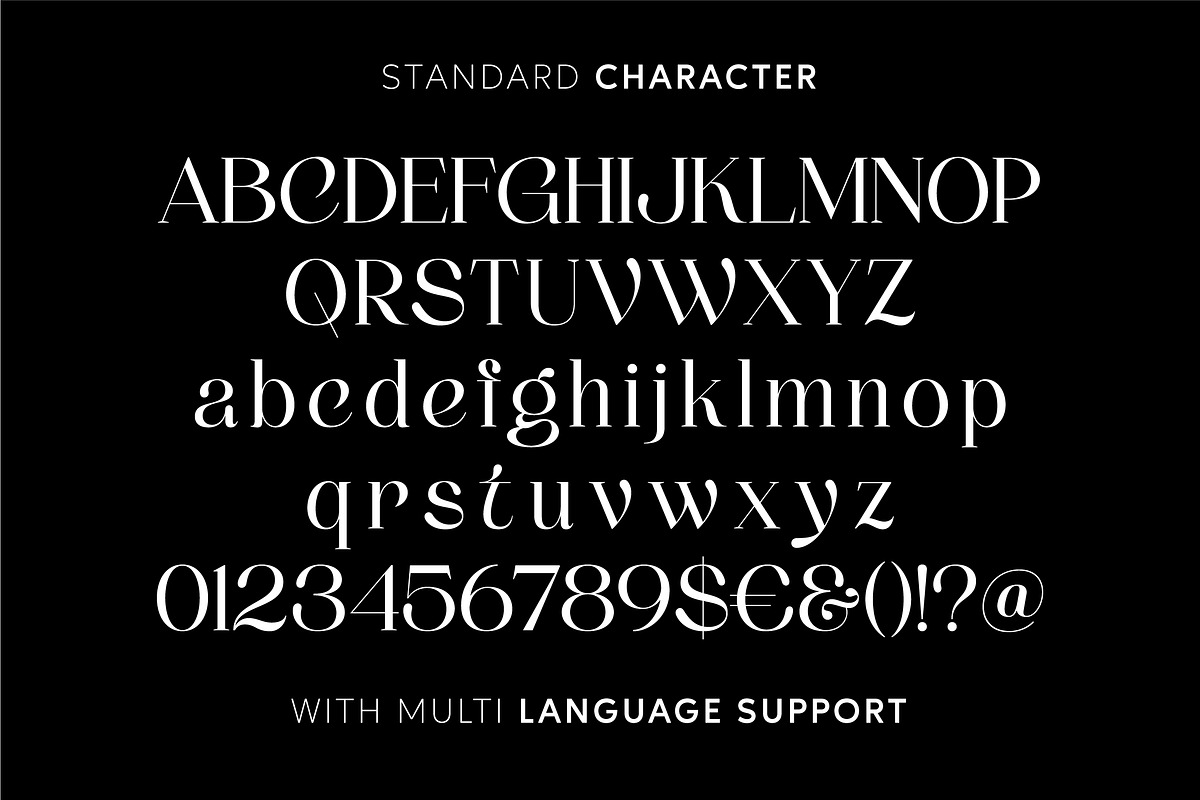Thenie Dawson - Stylish Serif Font, a Serif Font by Grezline Studio (Photo 10 of 12)