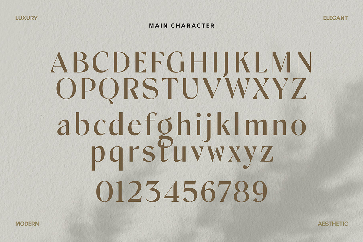 Cellina Wildrone Display, a Sans Serif Font by Eltypesstudio (Photo 3 of 13)