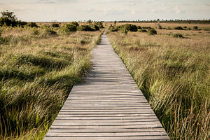 Wide landscape containing nature, landscape, and wide