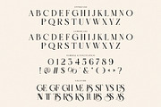 GELISH Elegant Ligature Serif, a Serif Font by Alfinart (Thumbnail 9 of 10)