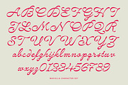 Maviella Font, a Script Font by Letteralle Studios (Thumbnail 10 of 10)