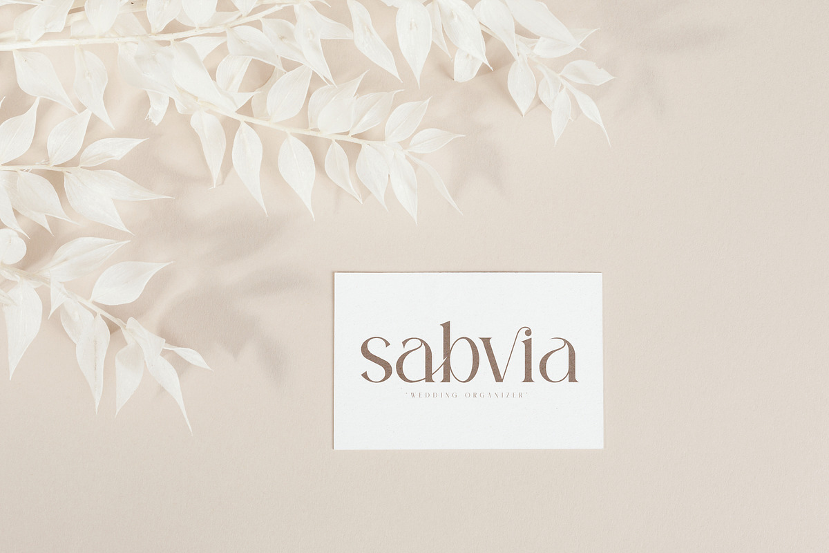 Sagire Modern Serif Font, a Serif Font by Storytype Studio (Photo 11 of 15)