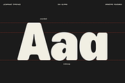 Leinfrakt - Heavy Display Sans, a Sans Serif Font by Shapespired Design (Thumbnail 3 of 16)
