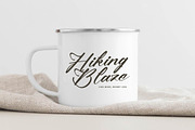 Climbing Nature Modern Calligraphy, a Script Font by Letterena Studios Script (Thumbnail 9 of 15)