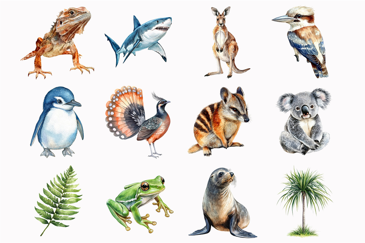 Watercolor Australian Animals Clipar, an Illustration by Design Market (Photo 4 of 5)