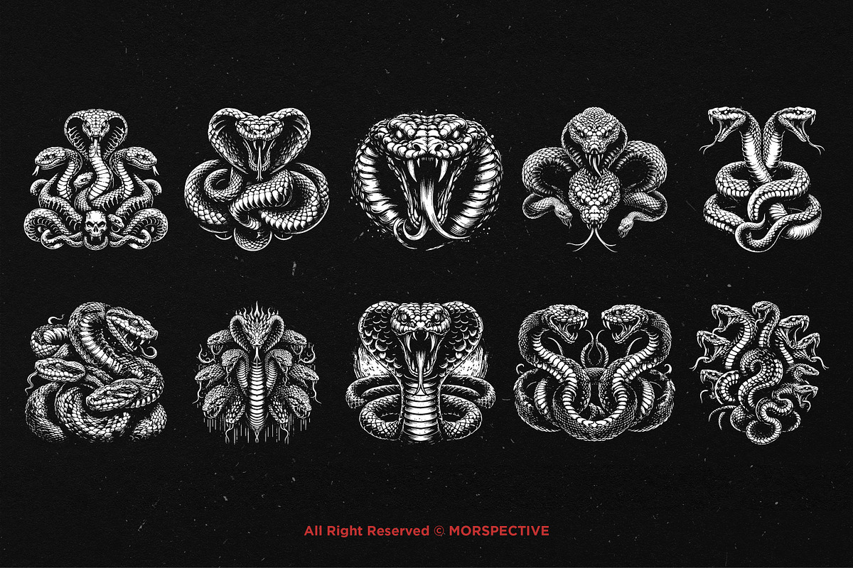 10 Bundle Dark Art Viper Snakes, an Illustration by Morspective (Photo 6 of 7)