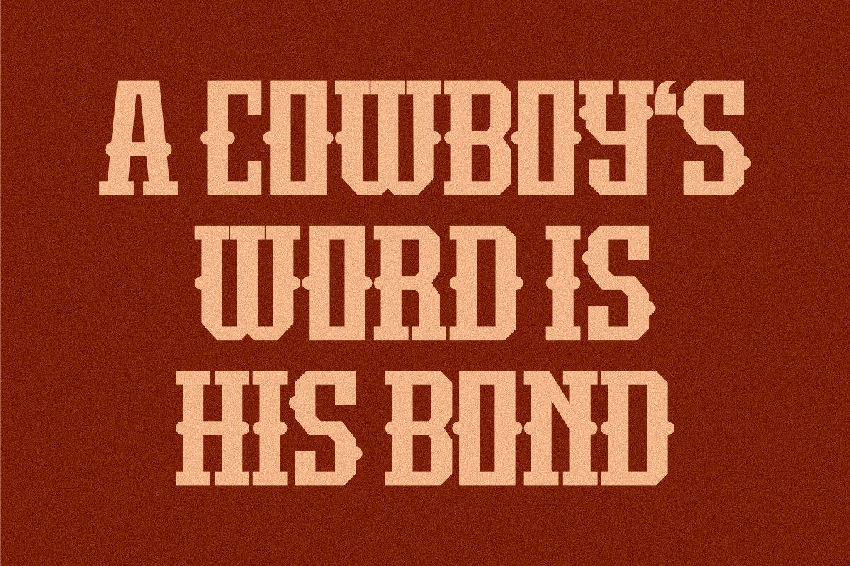 True Story - Western Slab Serif, a Slab Serif Font by Pian45 Studio (Photo 3 of 8)