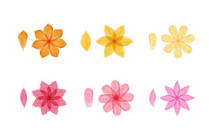 Watercolor flower and petal designs, an Illustration by okskukuruza