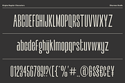 Kirgina - 6 Condensed Font, a Sans Serif Font by Dharmas Foundry (Thumbnail 15 of 15)