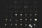 Dandelion Overlays, an Object Graphic by VligCreativeStudio (Thumbnail 6 of 6)