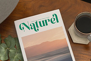 Kinsley Angels Modern Alternatate, a Serif Font by timelesstype.co (Thumbnail 13 of 20)