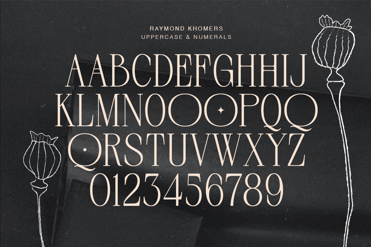 Raymond Khomers, a Sans Serif Font by Fargun Studio (Photo 11 of 22)
