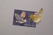 Magic owls: 280 elements for design, an Animal Illustration by Shusha Guna Art (Thumbnail 18 of 23)