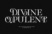 Divine Opulent - Display Serif, a Serif Font by Prioritype Co (Thumbnail 1 of 10)