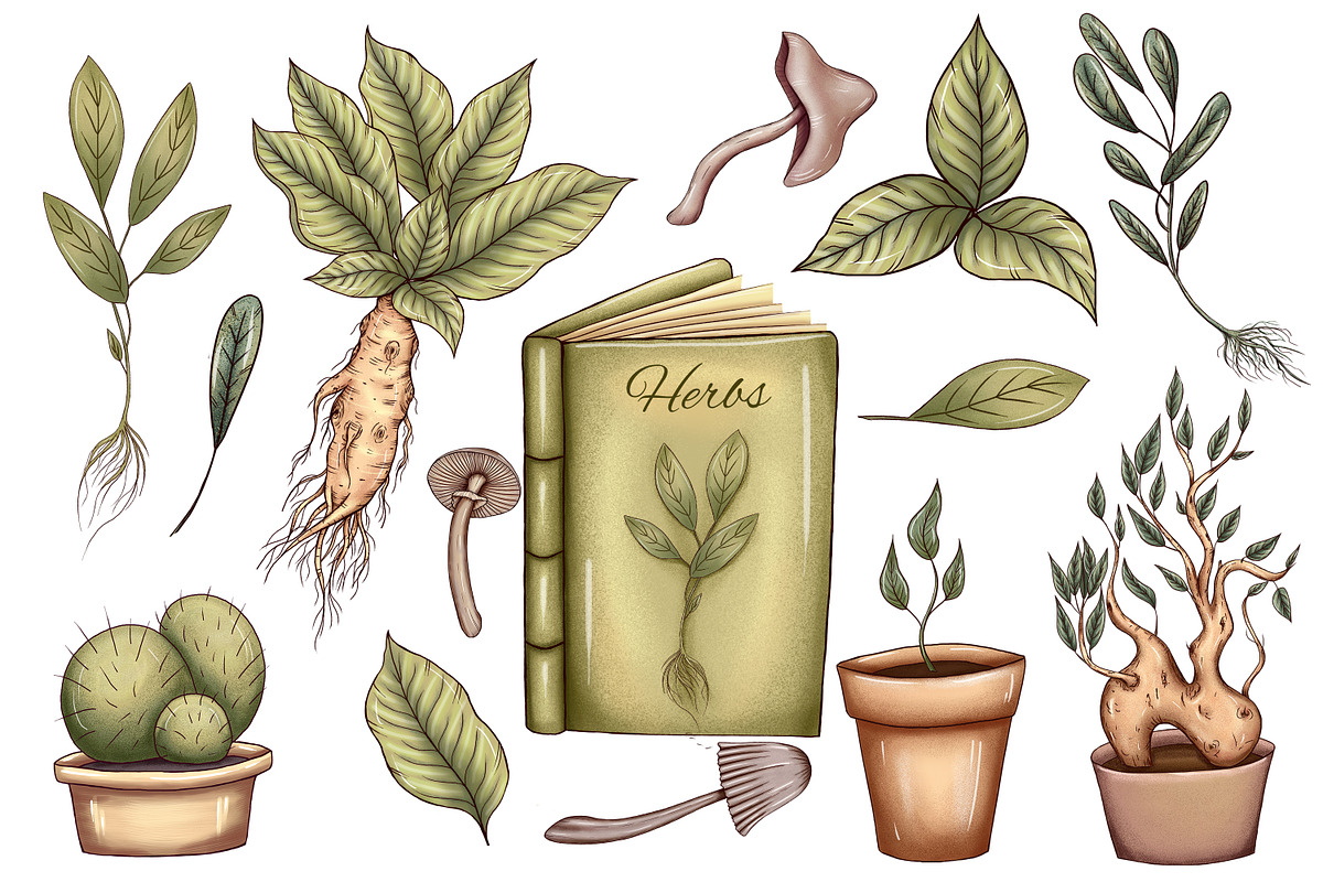 Herbal Magic clipart set, an Illustration by Mrs.Swan_Design (Photo 2 of 7)