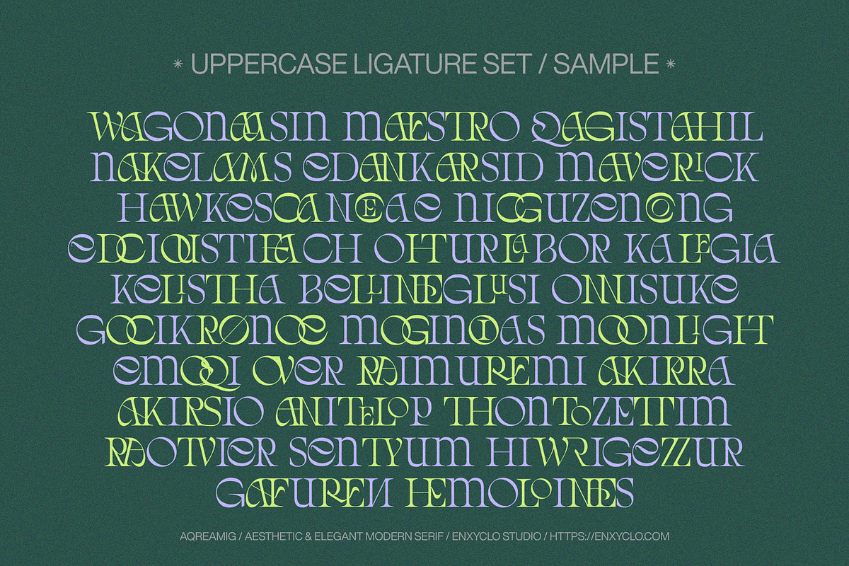 AQREAMIG — Luxury Ligature Serif, a Serif Font by Enxyclo Studio (Photo 17 of 25)