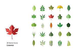 Leaves Color Vector Icons