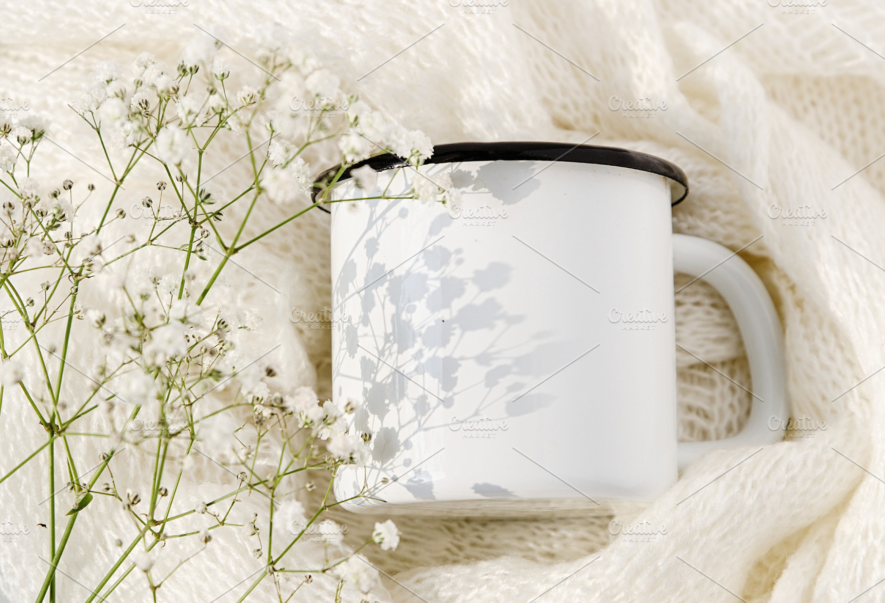 Cup soft cotton sun gypsophila stock photo containing white cup and soft, a Holiday Photo by The LUV Stock Photos