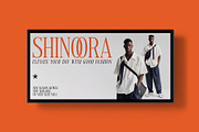 Voracity - Serif Display Font, a Serif Font by Brainwaves.Studio (Thumbnail 8 of 9)
