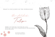 VINTAGE TULIP ILLUSTRATION, an Illustration by Friendly Label (Thumbnail 2 of 2)