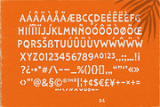 Laguna Tropic – Tropical Font Duo, a Serif Font by Edignwn Type (Thumbnail 12 of 12)