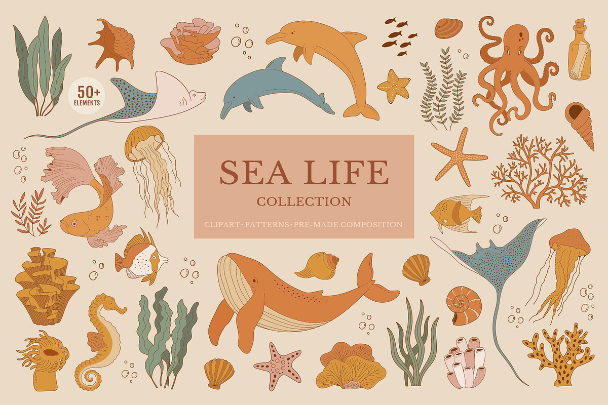 Sea Life Collection, an Animal Illustration by Nadezhda Mikhailova (Photo 1 of 18)