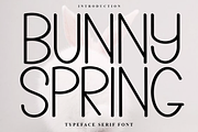 Bunny Spring, a Sans Serif Font by InermediaSTUDIO (Thumbnail 1 of 7)