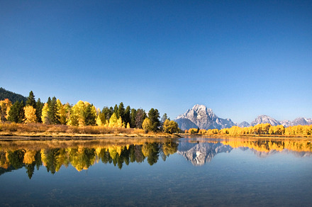 Grand Teton Buffalo preview 4