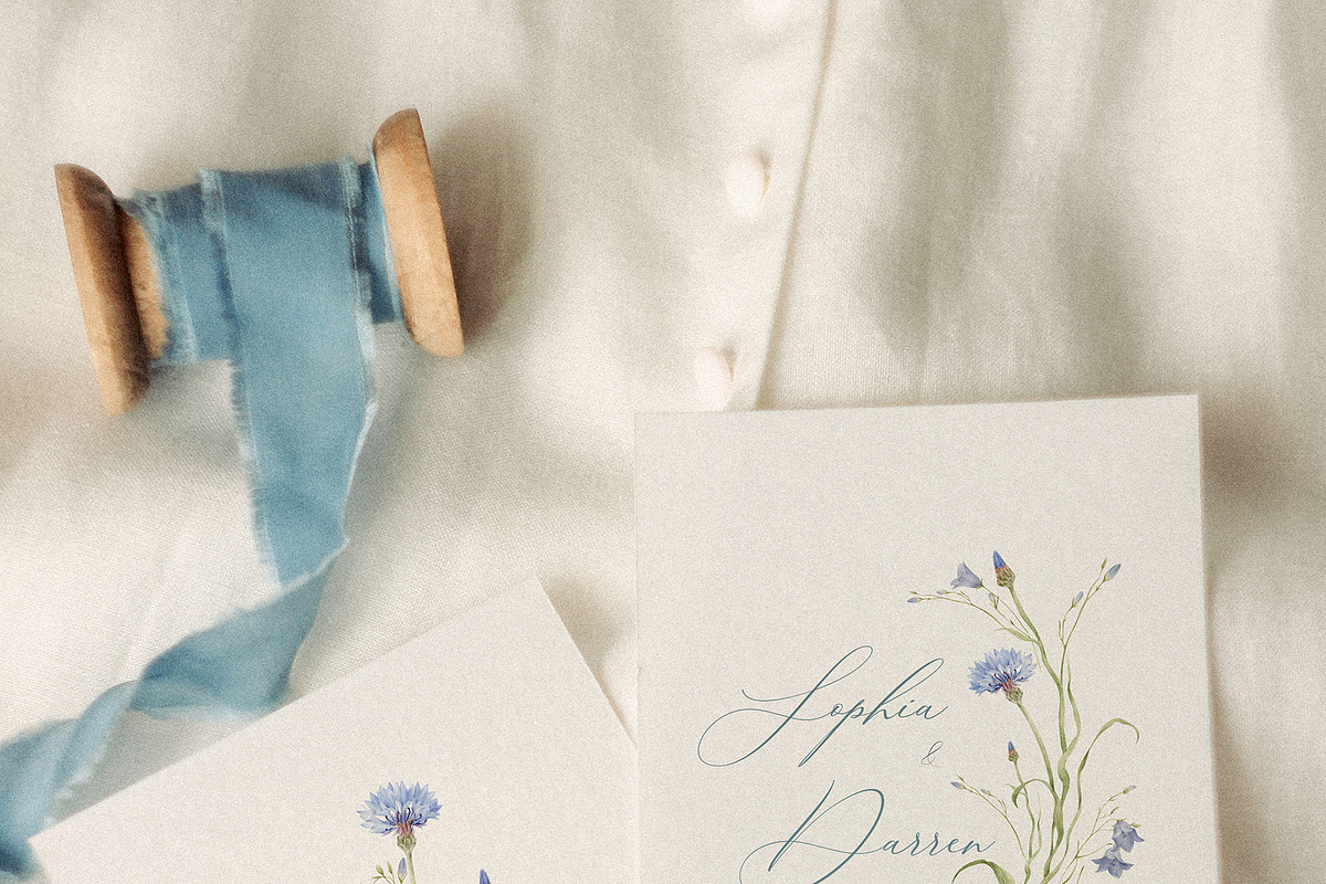 Watercolor Cornflowers, an Illustration by Nastya.Chay (Photo 4 of 10)
